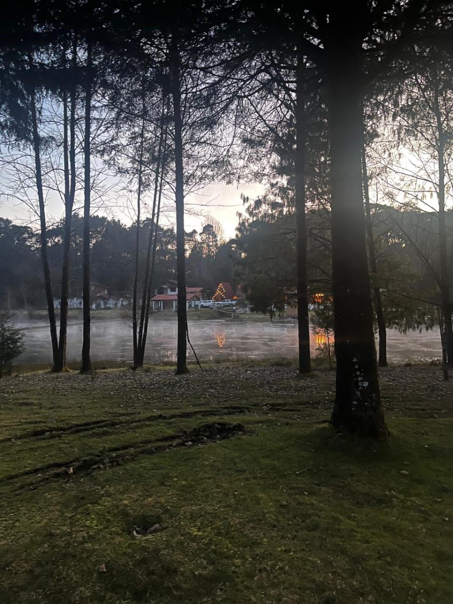 Vista nocturna del bosque y lago en Cabañas Agua Linda Hidalgo