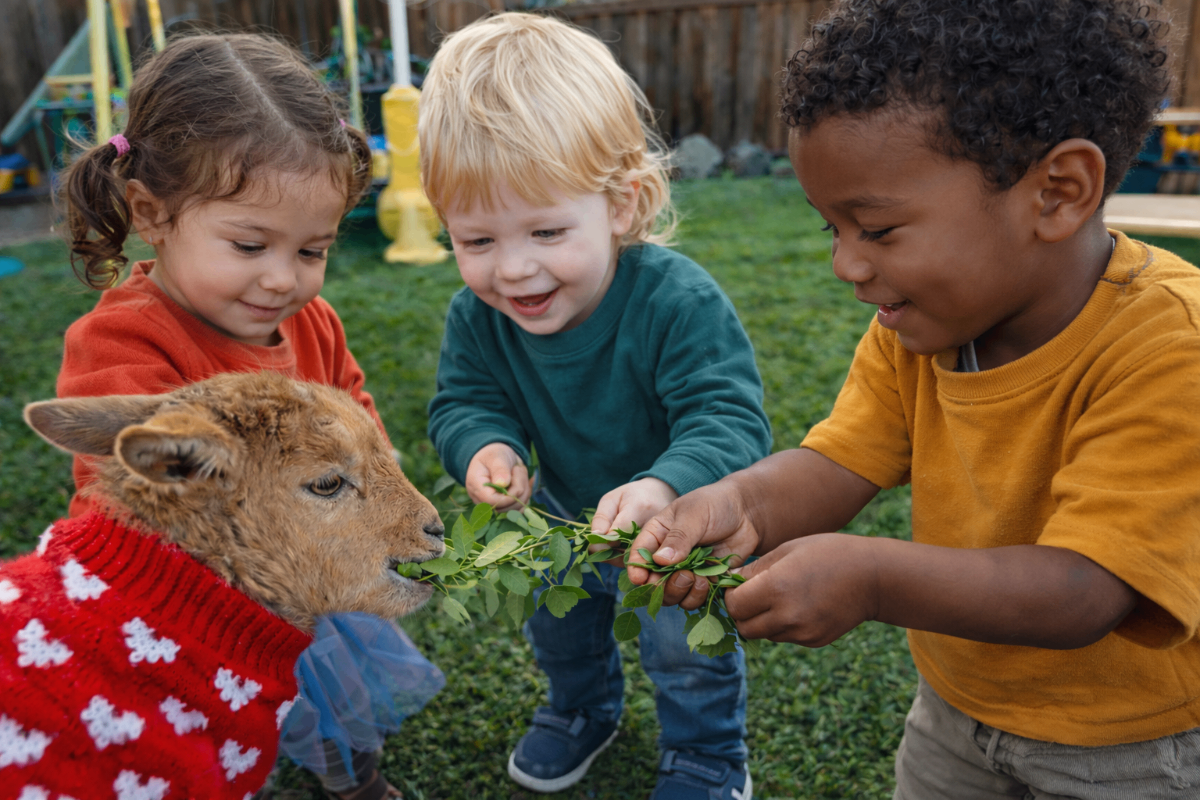 Creative Hearts Family Childcare - Licensed Daycare Walnut Creek CA Children playing and learning at Creative Hearts Family Childcare in Walnut Creek, CA