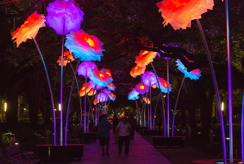 Downtown Napa's Lighted Art Festival