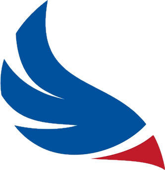 Robins Financial Logo Icon