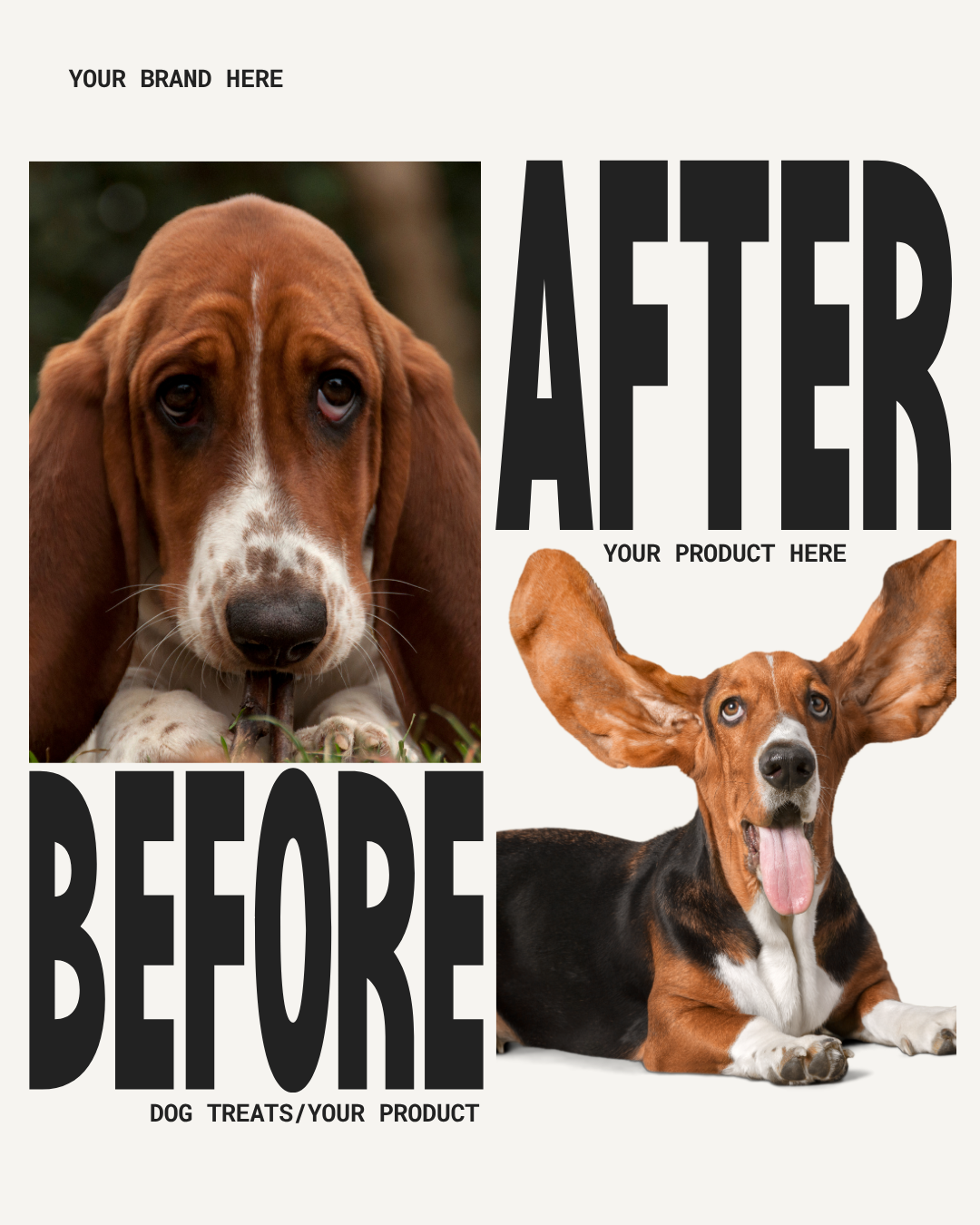 Before & After Transformation