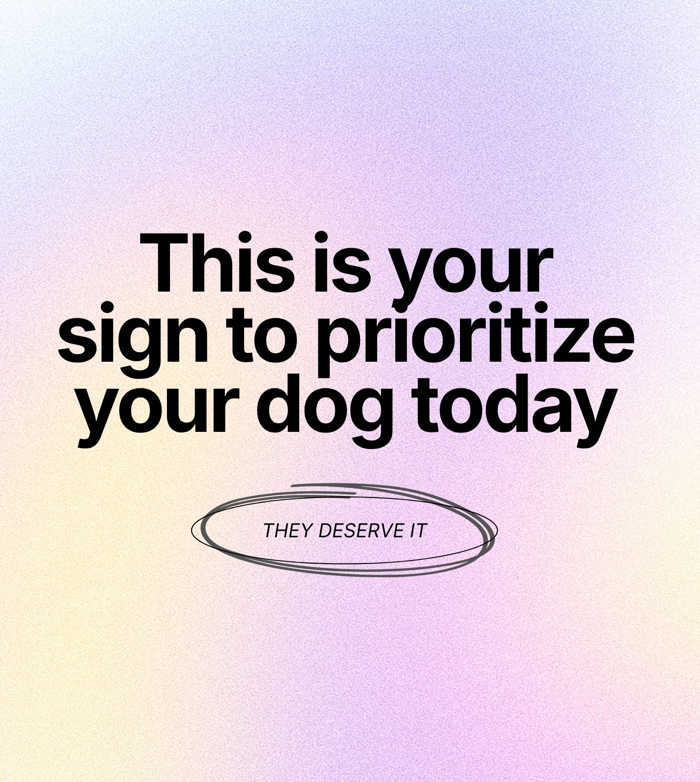Branded pet lifestyle photo