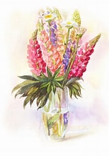 ルピナスの花