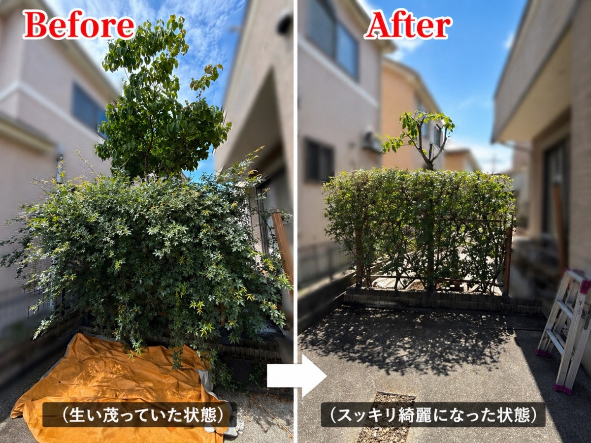 リピータ様からの剪定・間伐作業