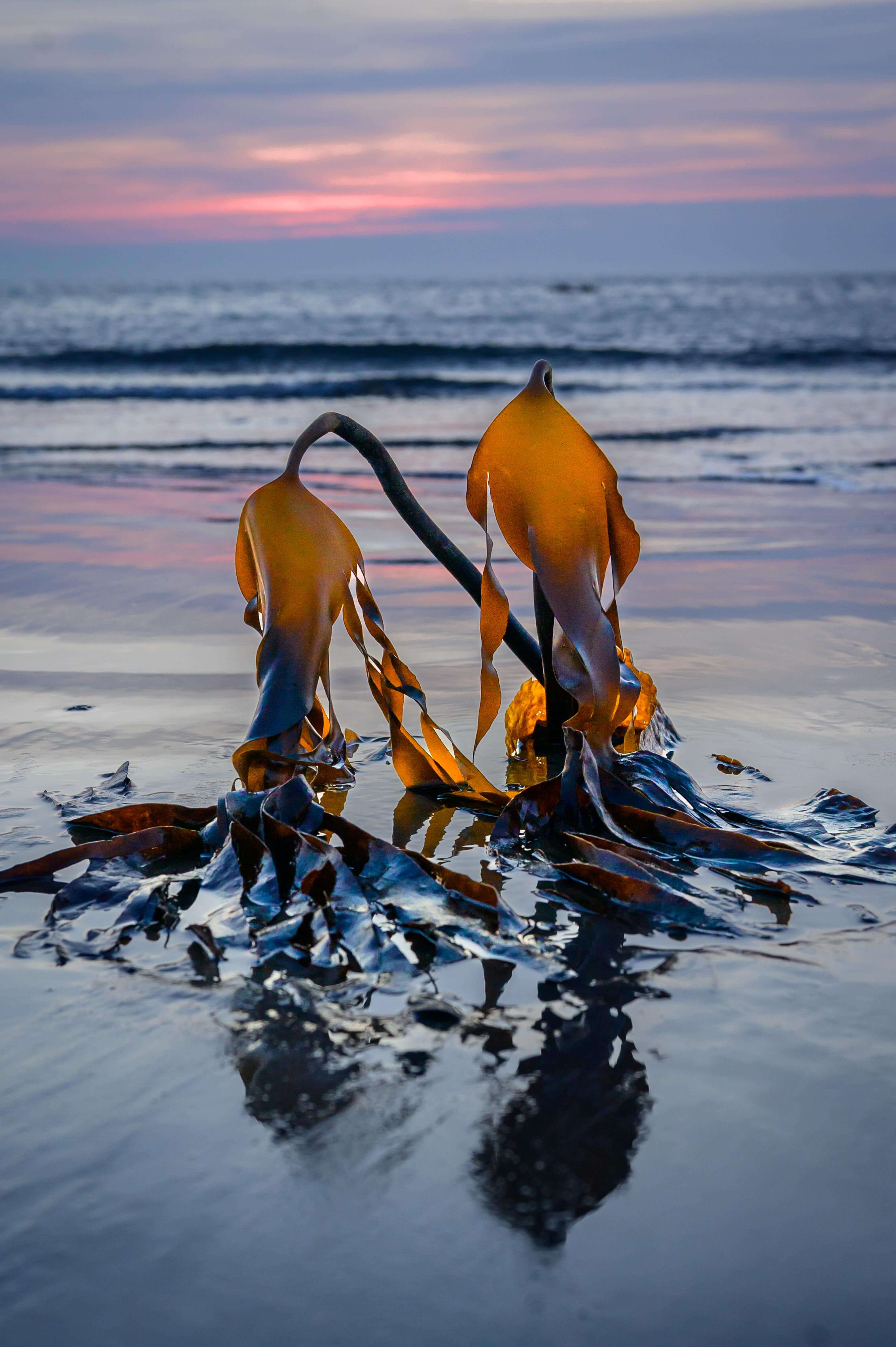 Instagram — Edinburgh Old Town