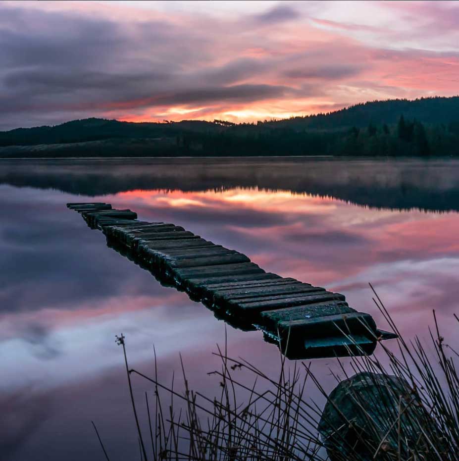 Macro nature photography Scotland — delicate morning dew drops on green foliage, extreme close-up detail