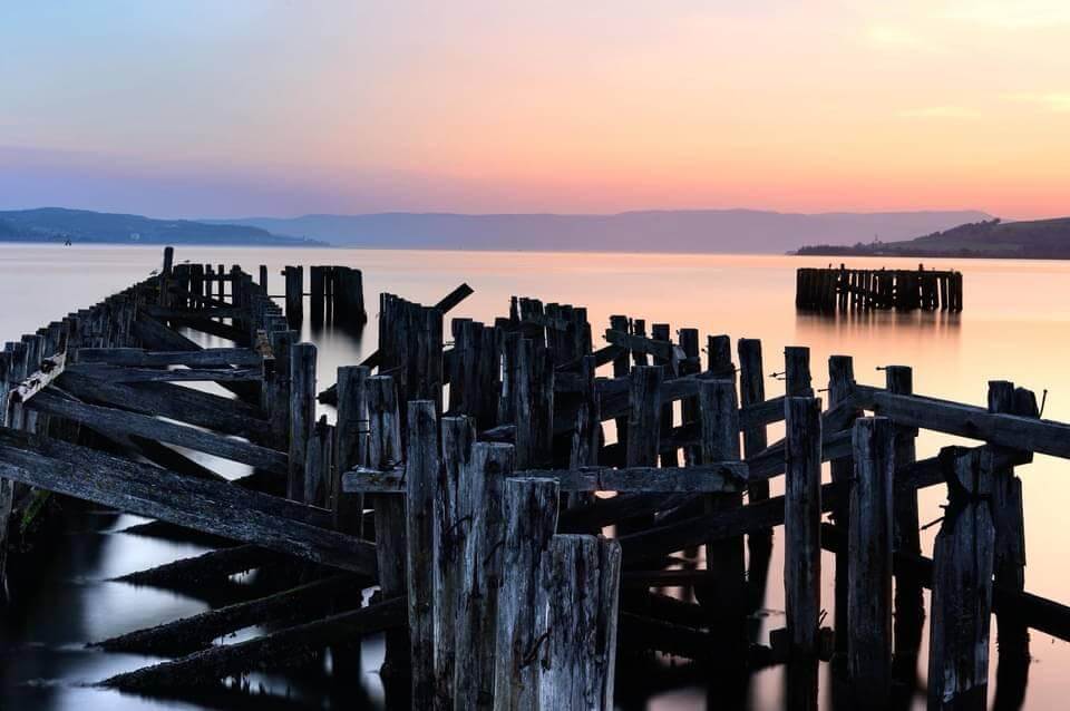 Autumn forest path photography in Scotland — golden foliage leading lines through ancient woodland