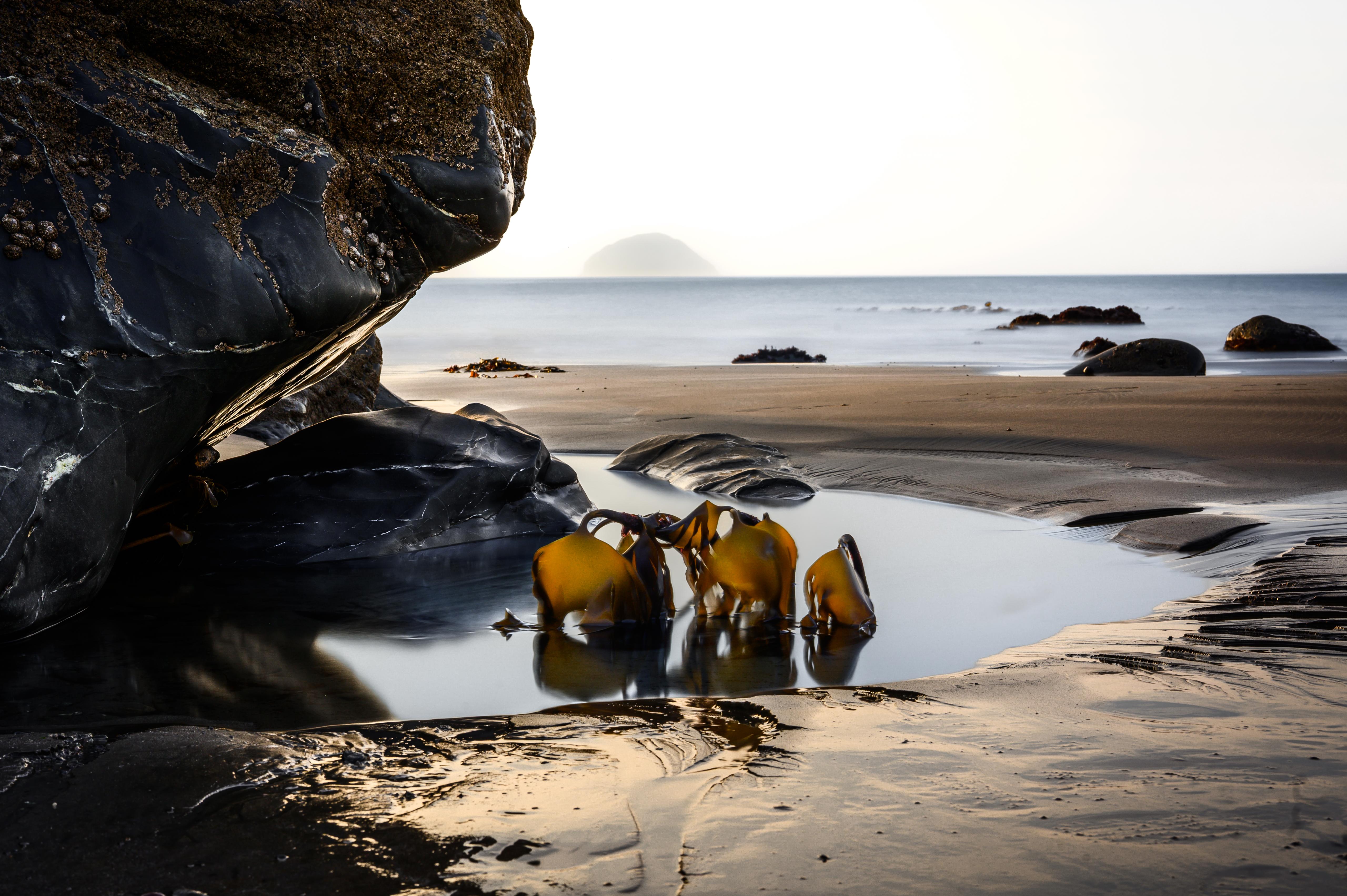 Stop Shooting in Auto — Book Photography Tuition in Glasgow or Edinburgh Edinburgh skyline at sunset — golden warm light over the castle and Arthur's Seat, perfect for landscape photography