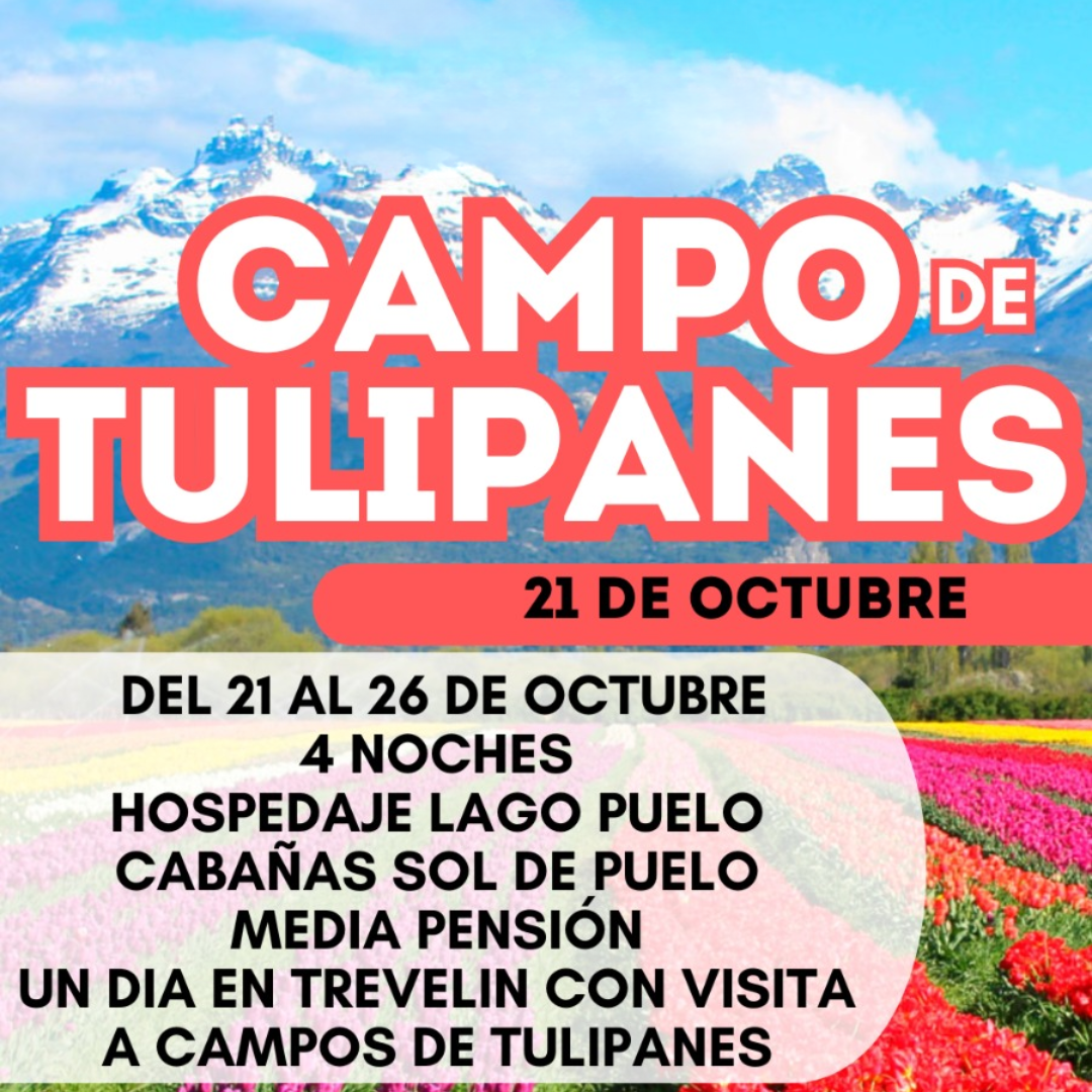 Campo de Tulipanes