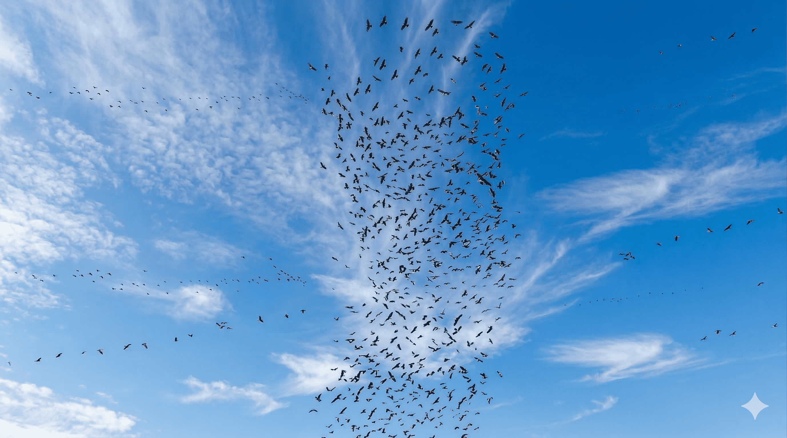 鷹柱のイラスト