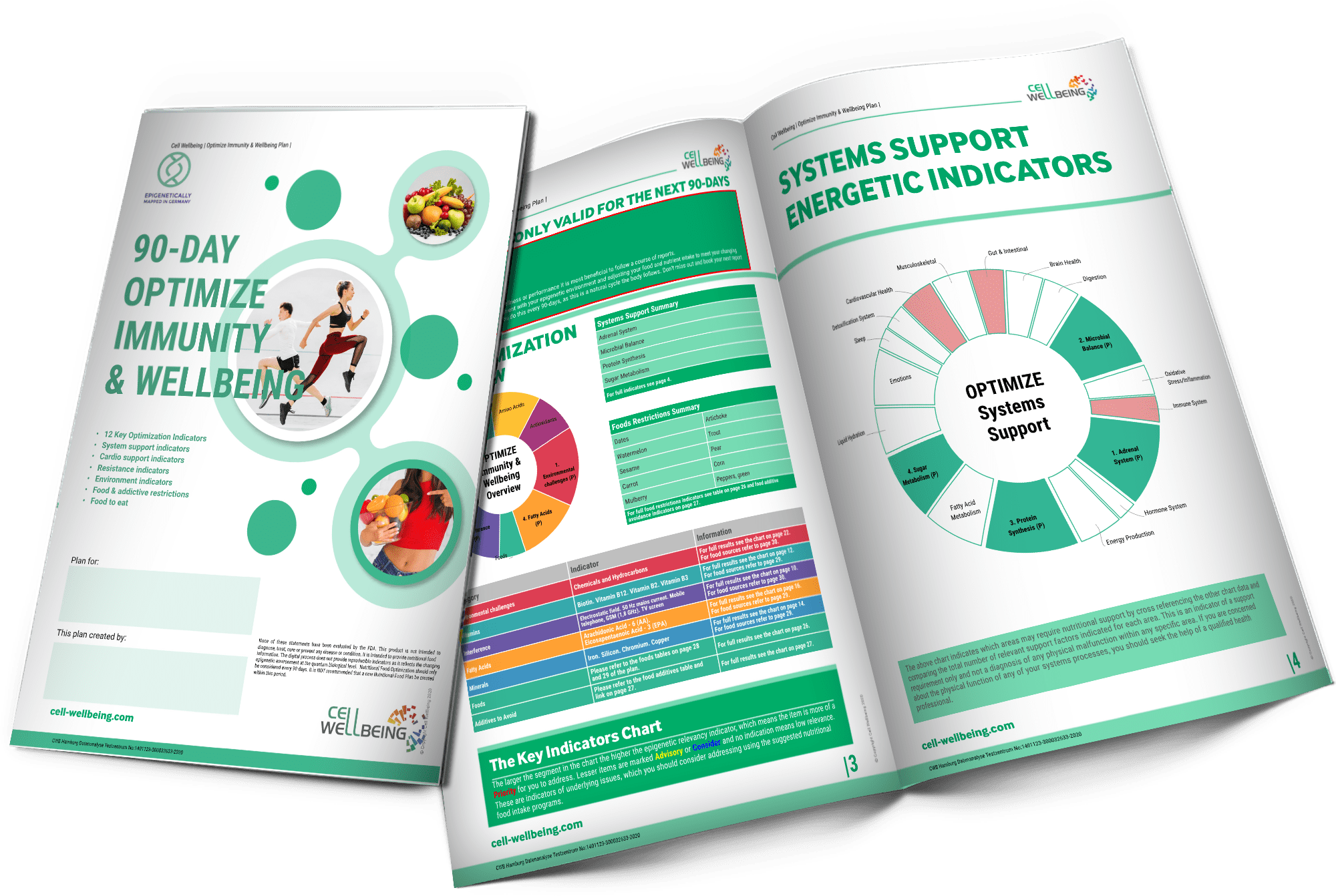 Planes de Bienestar Personalizados