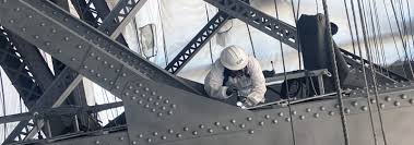Professional coating inspection process