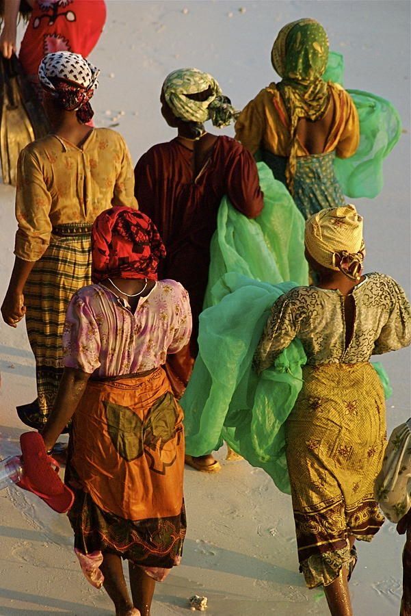 Subscribe to Newsletter