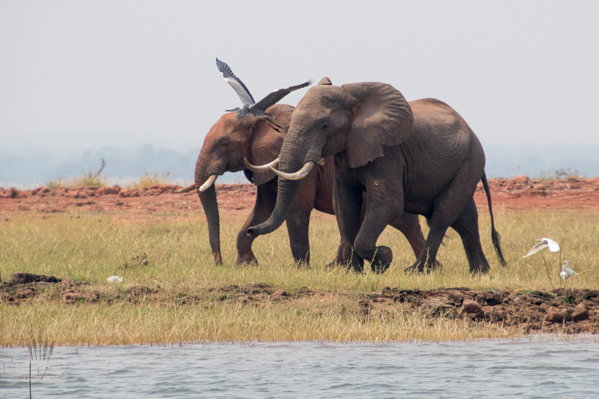 Kariba Lake Adventure