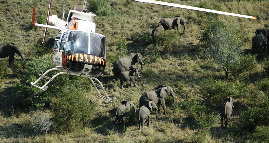 Best of Victoria Falls, Chobe and Livingstone