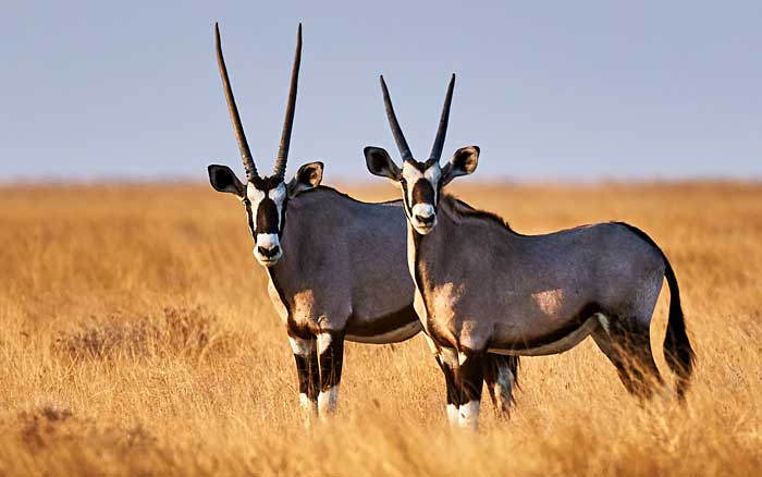 Namibia Girls Getaway