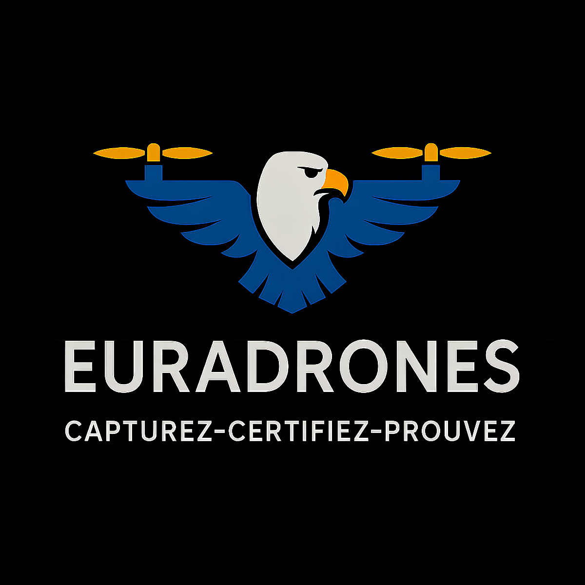EURADRONES - Visual Connect
