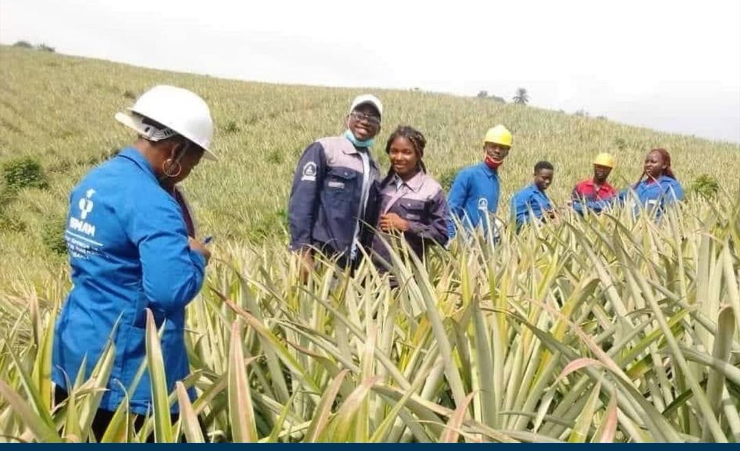 Pratiques terrain INUD agriculture