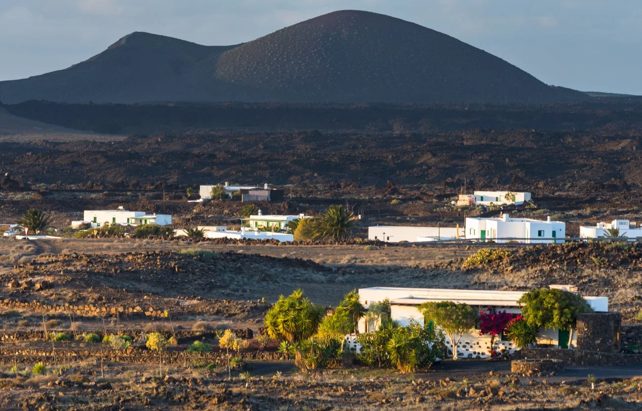 La Hoya - Isael Delivery Lanzarote