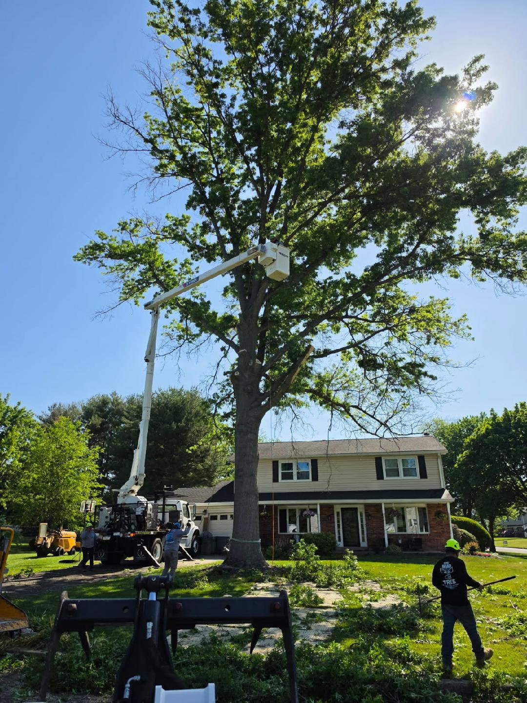 McCreesh Tree Service stump grinding equipment at work McCreesh Tree Service stump grinding equipment at work