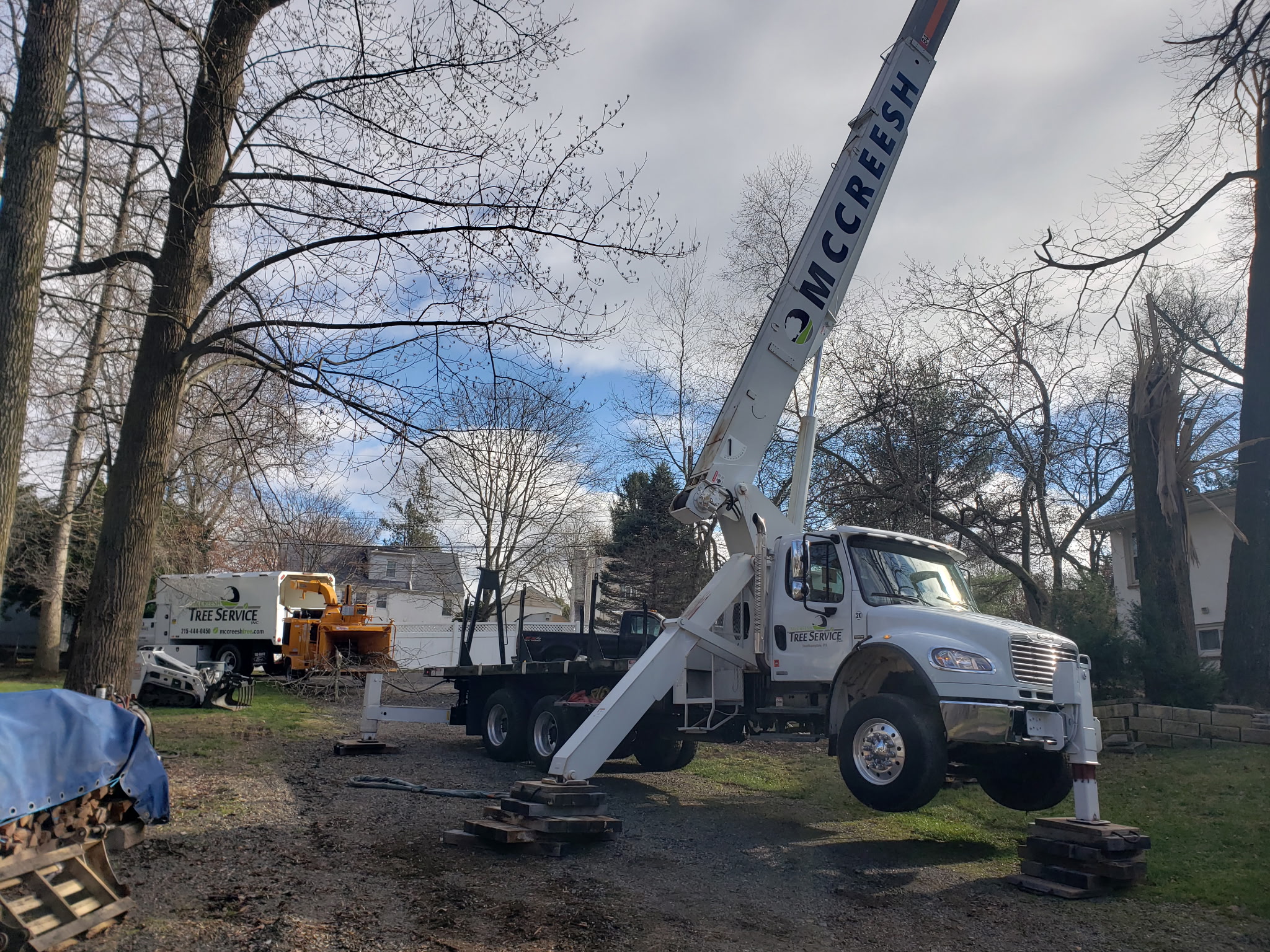 McCreesh Tree Service crew at work