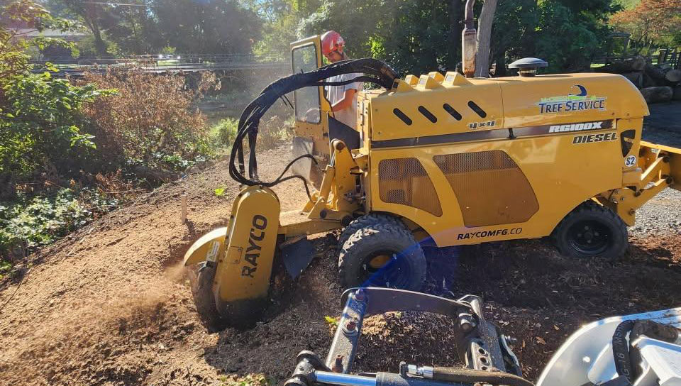 Stump grinding operator and Rayco machine in action Stump grinding operator and Rayco machine in action