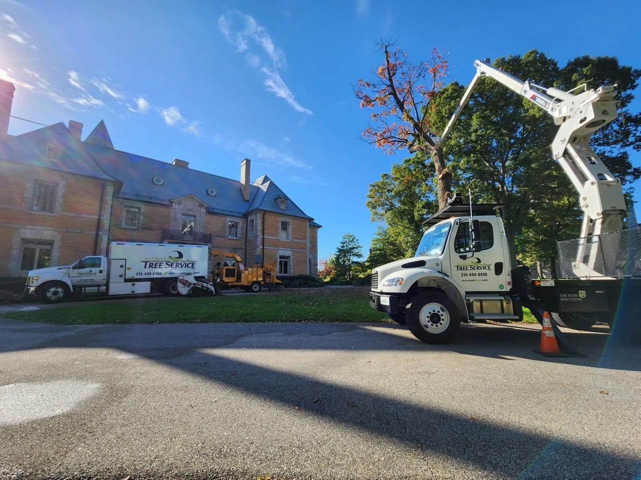 ISA certified arborist climbing and trimming a large tree in Bucks County ISA certified arborist climbing and trimming a large tree in Bucks County