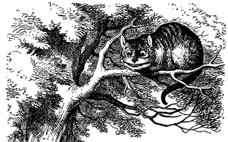 The Enchanted Forest Journey