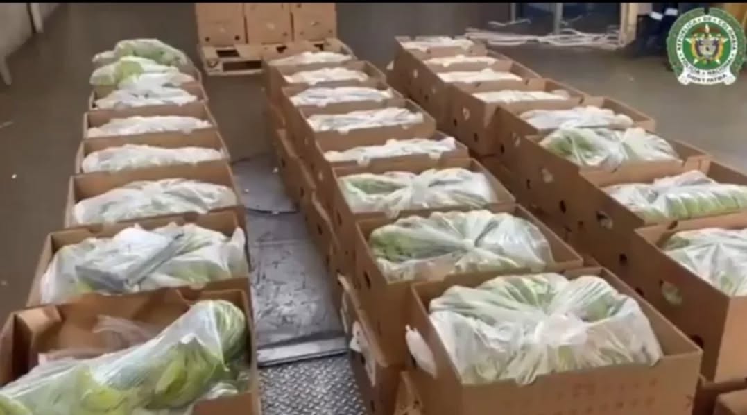 Países Bajos incautan 6.2 toneladas de cocaína en Rotterdam