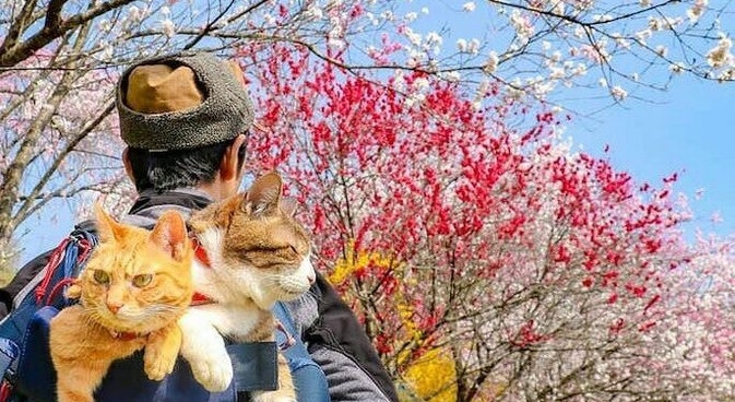 Ruta del Papel de Arroz — Japón