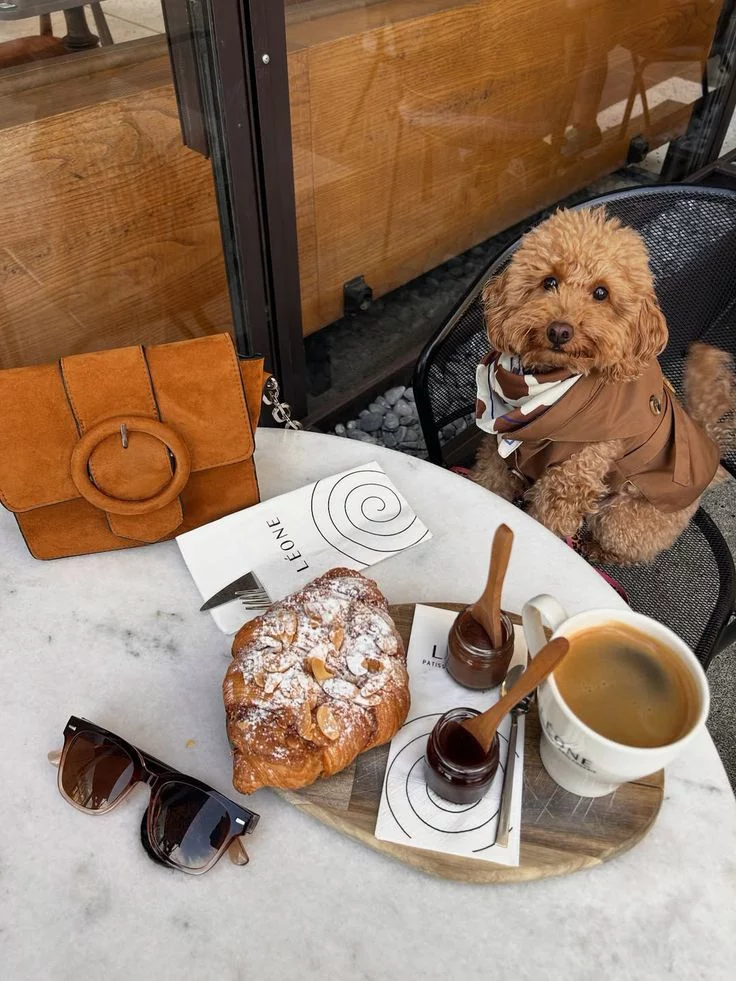 Desayuno en Provence