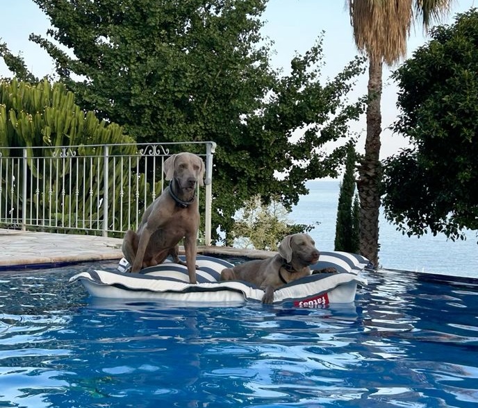 Suite con Vista al Mar