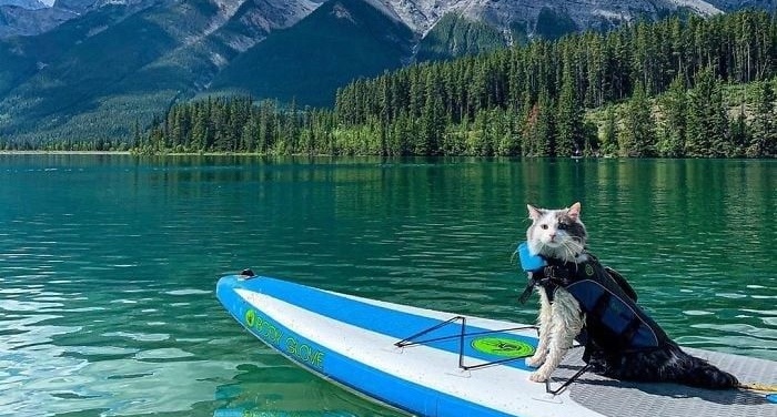 Experiencias de Autor