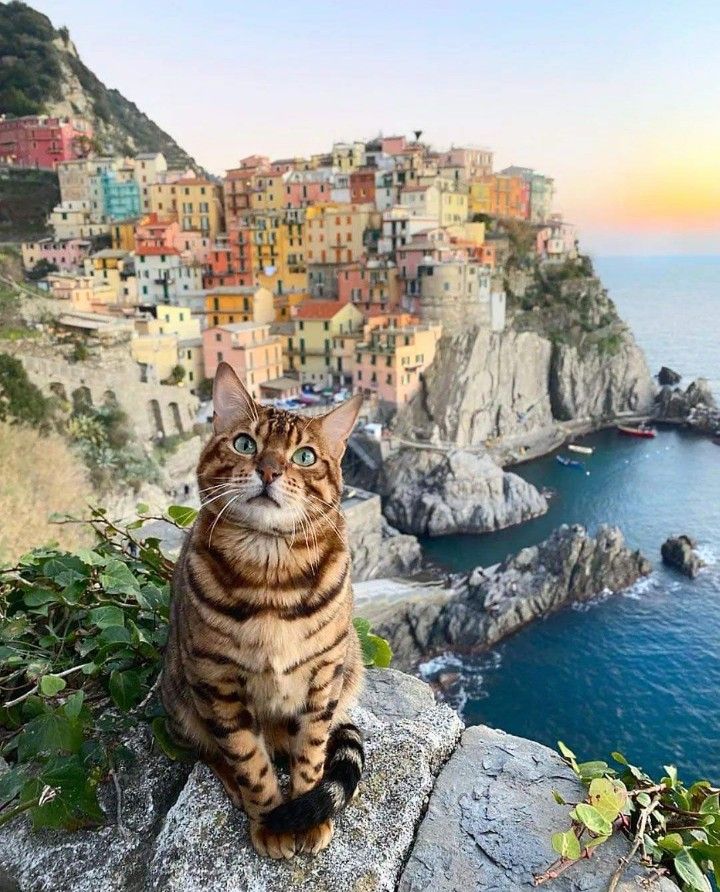 Callejuelas de Siena