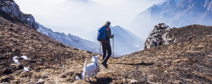 Senderismo con perro en los Pirineos: las 10 rutas más espectaculares