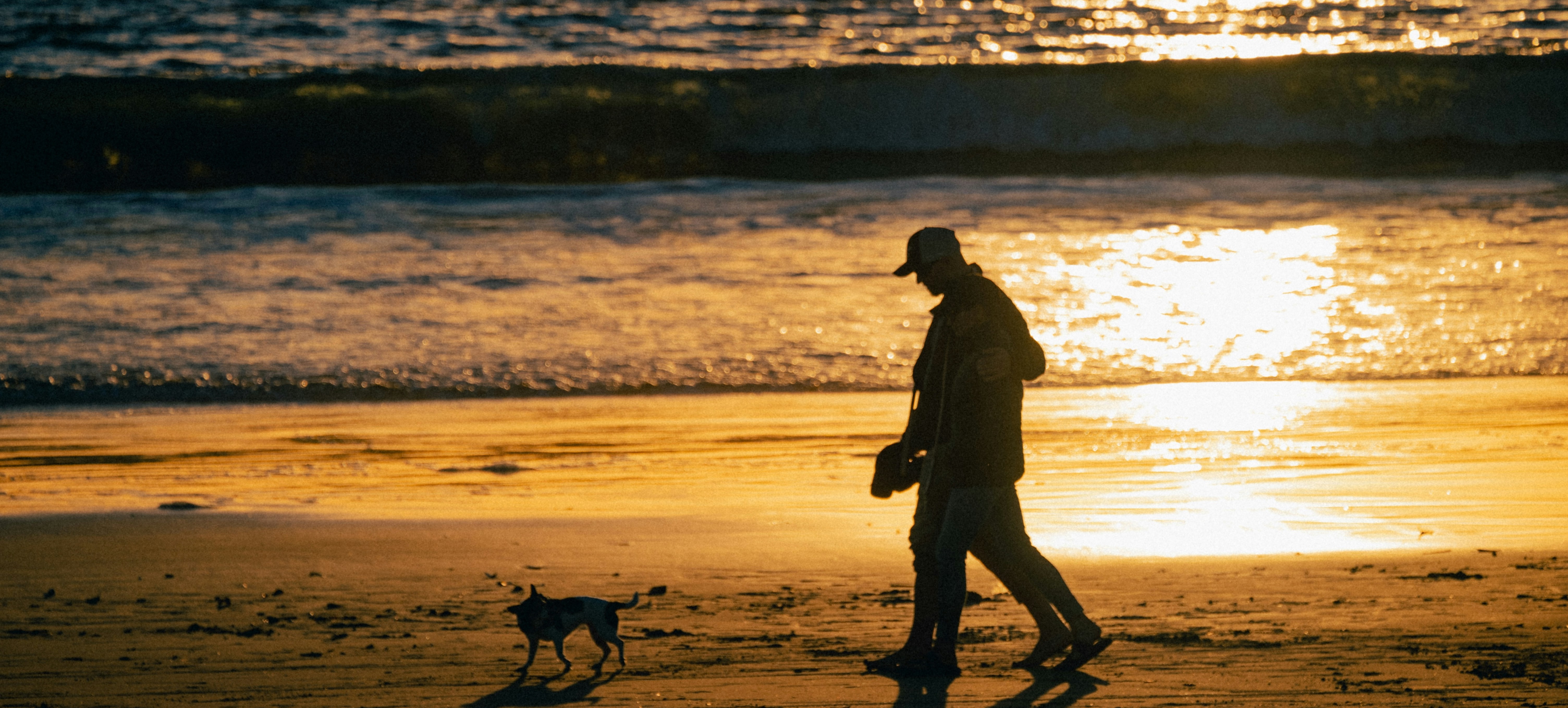 Viaja con tu mascota