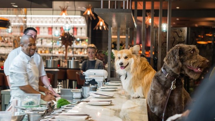 Gastronomía Gourmet