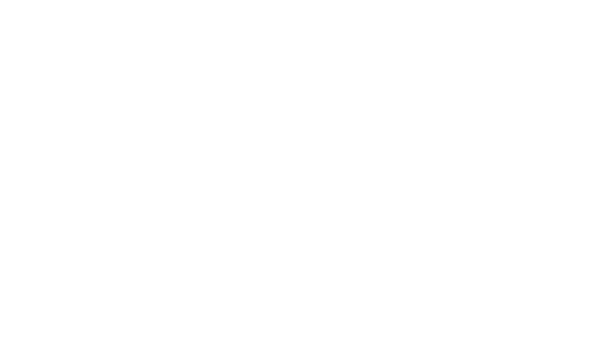 SD Vision