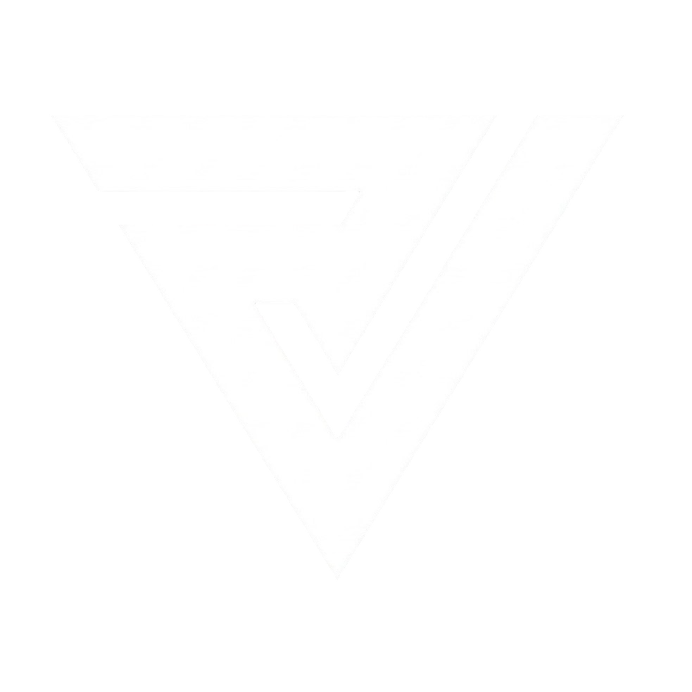 The Real Wealth Vision Logo