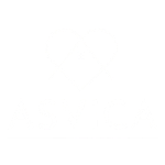 Asvica - Conseil immobilier de prestige Paris