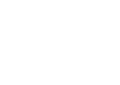 Synatra Logo