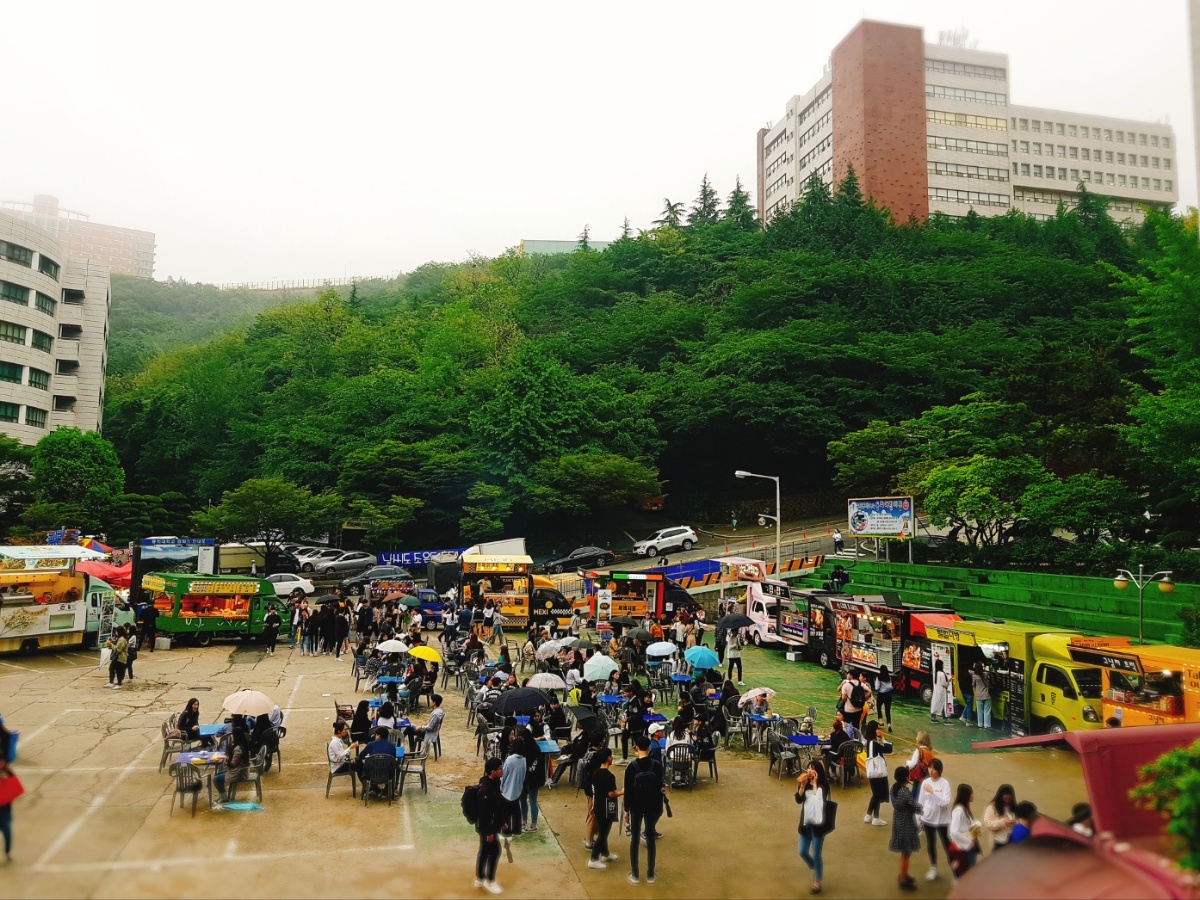 관공서·지역행사·페스티벌