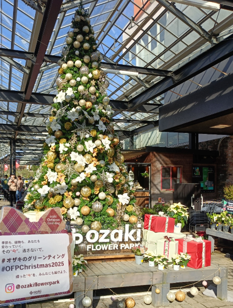 🌼 花屋めぐりシリーズ【第1弾】オザキフラワーパークに行ってきました!