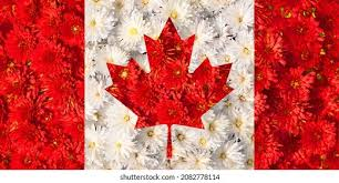Maple Leaf