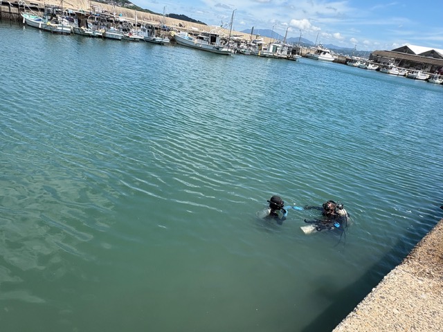 潜水訓練中の様子