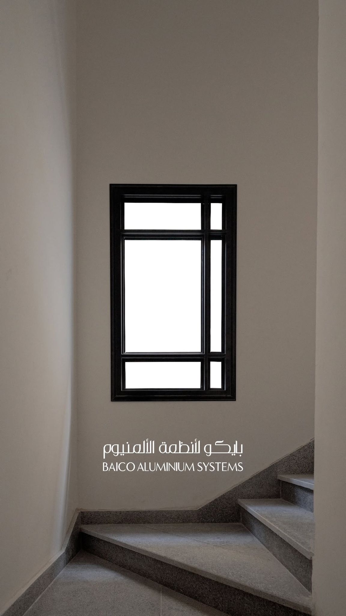 الحل الاحترافي من بايكو