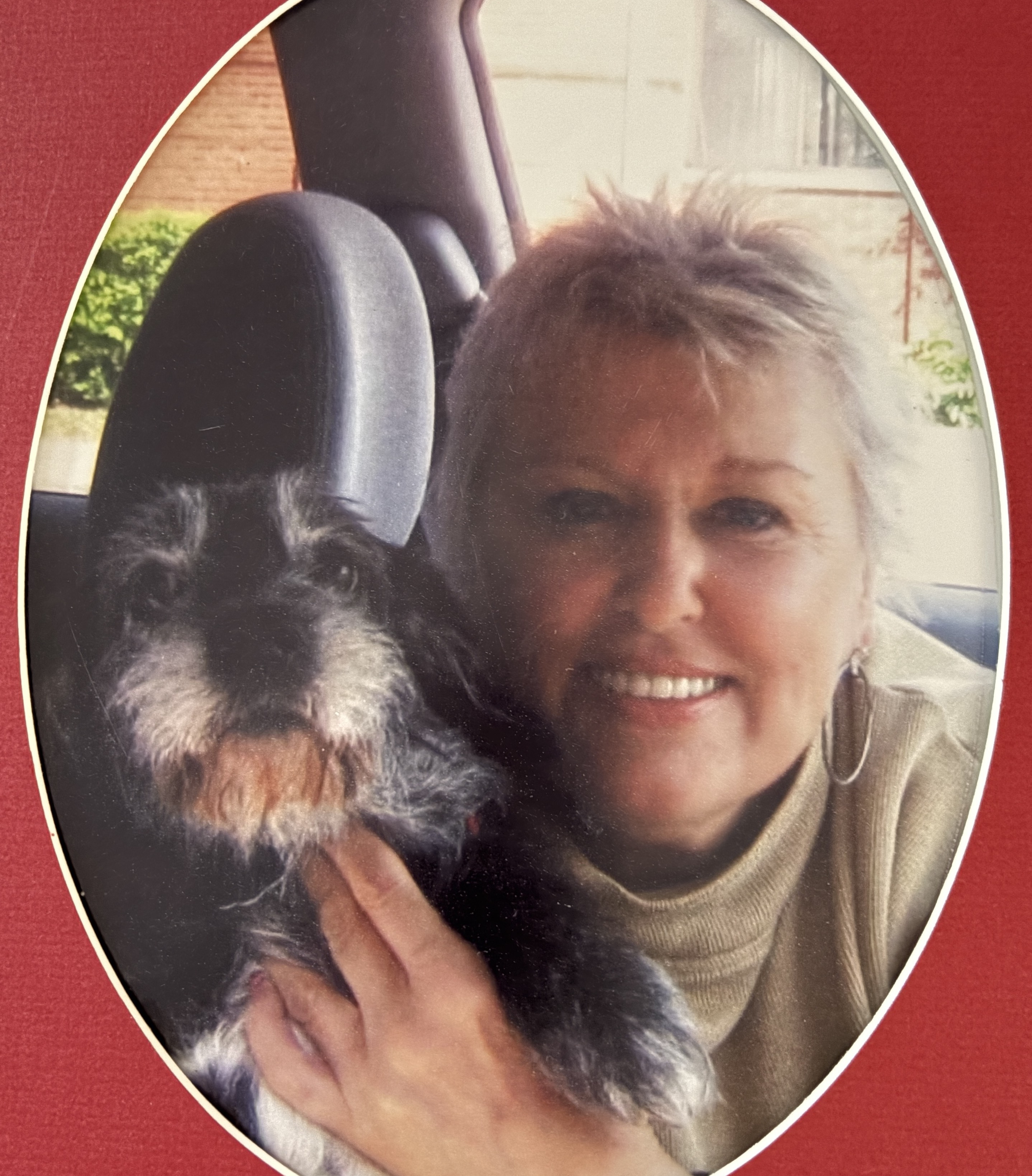 Gentle, expert dog care at Dog Grooming on Wilson — Ancaster, Ontario Gentle hands cradling a relaxed dog at Dog Grooming on Wilson in Ancaster