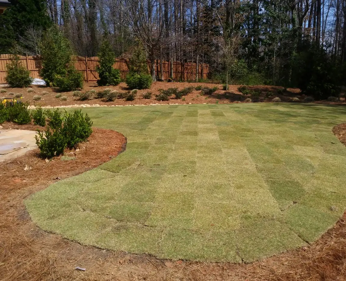 Sod Installation in Georgia