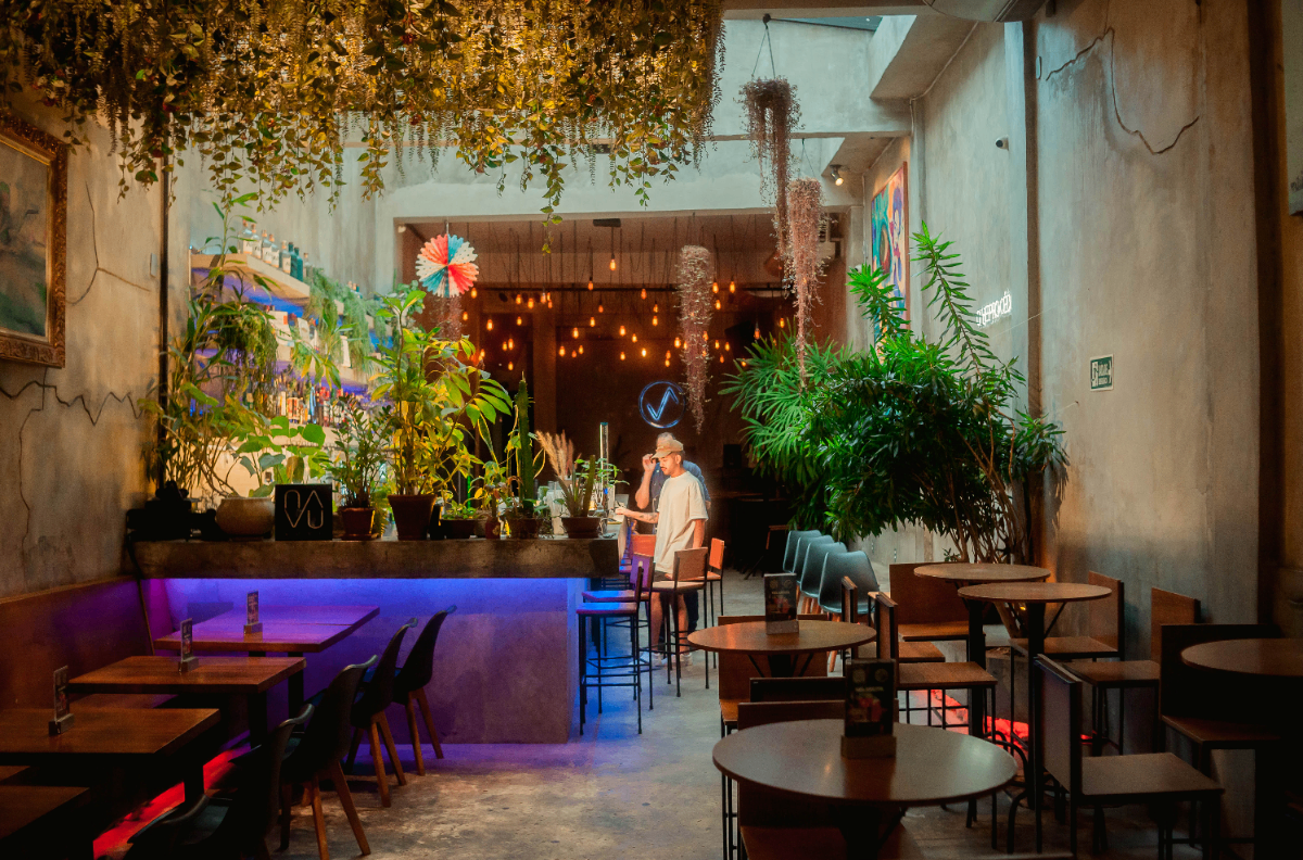 Networking e Eventos Especiais