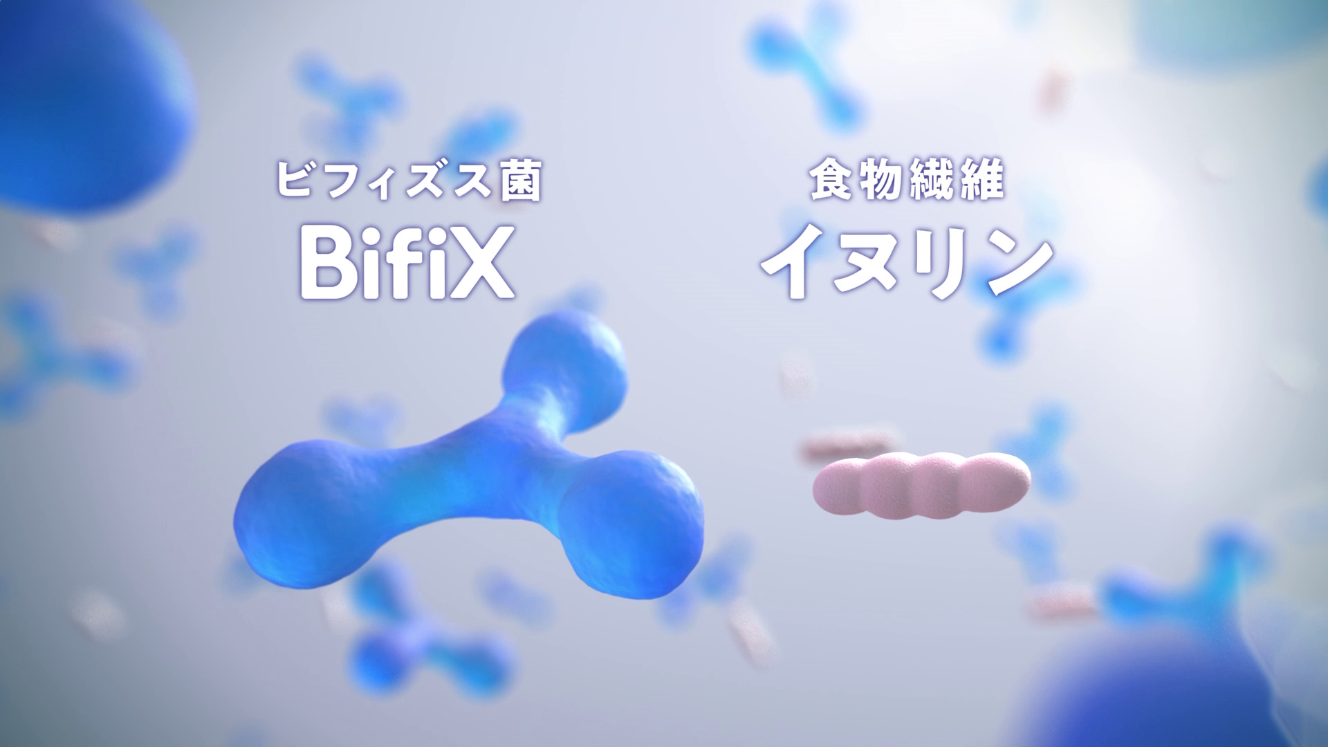 BiFiX gallery 2